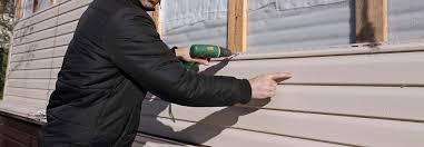 Best Vinyl Siding Installation  in Gregory, TX